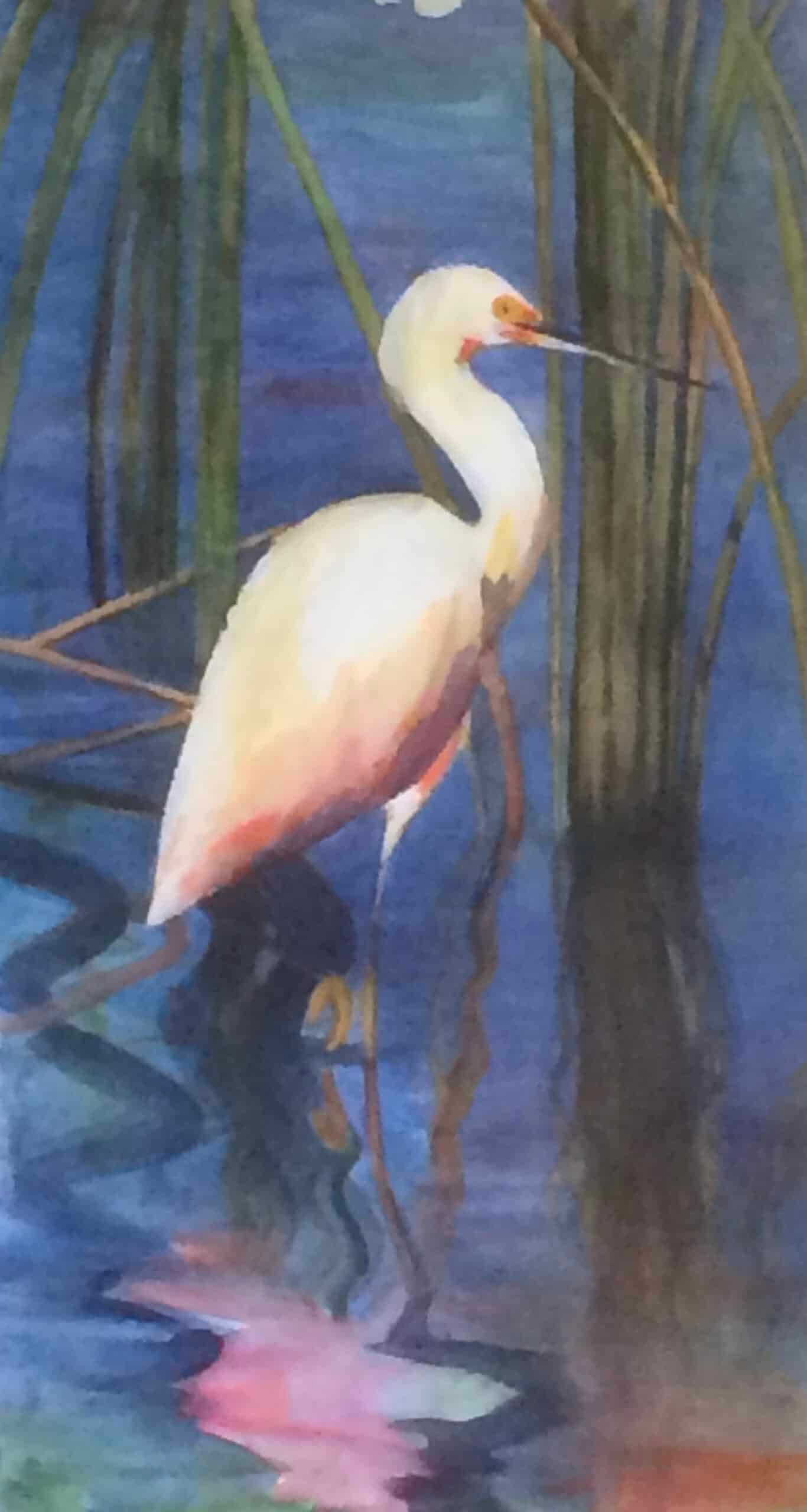 Image of Egret