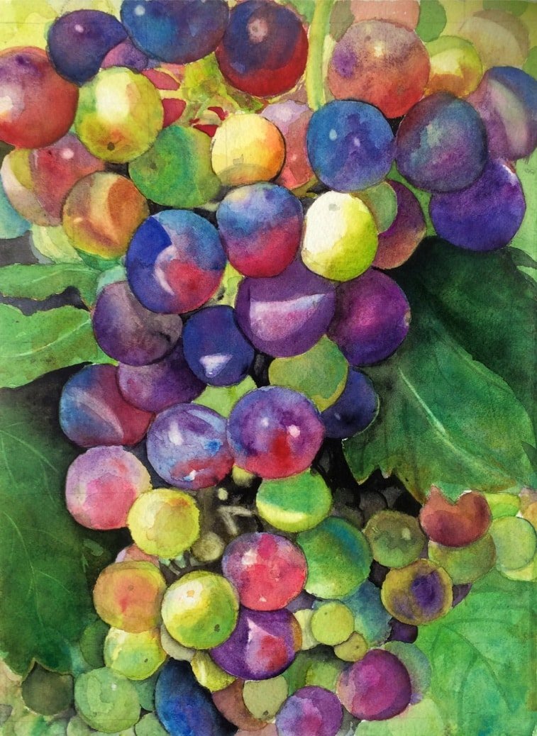 Image of Grapes